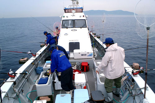 2012年5月26日、関アジ釣り大会