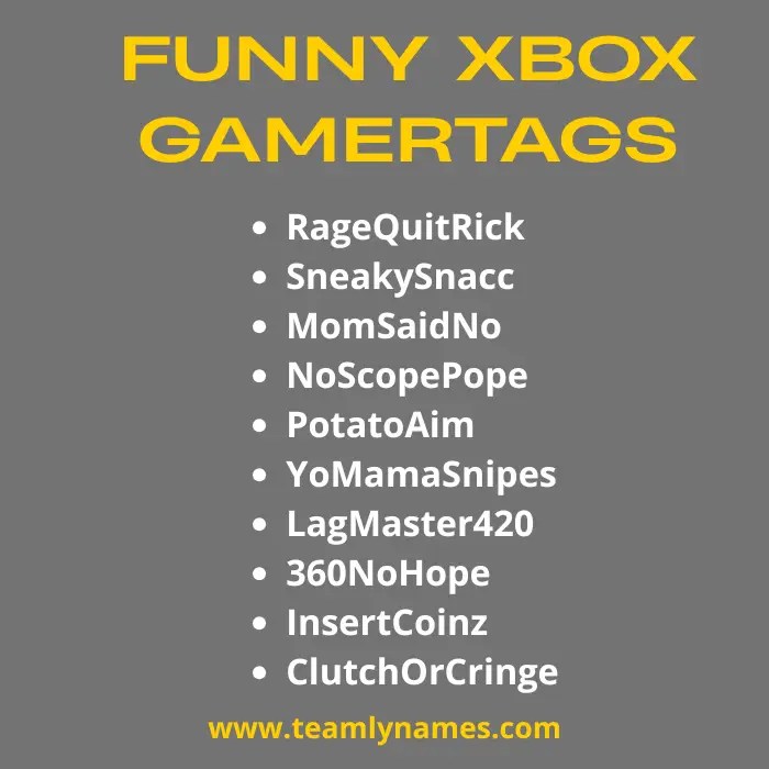 420+ Best Xbox Gamertag Ideas to Stand Out Online(05)