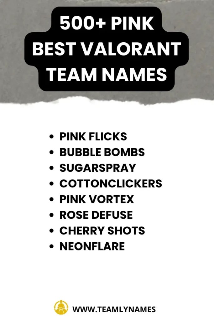 500+ Catchy Valorant Team Names to Stand Out in 2025!(05)