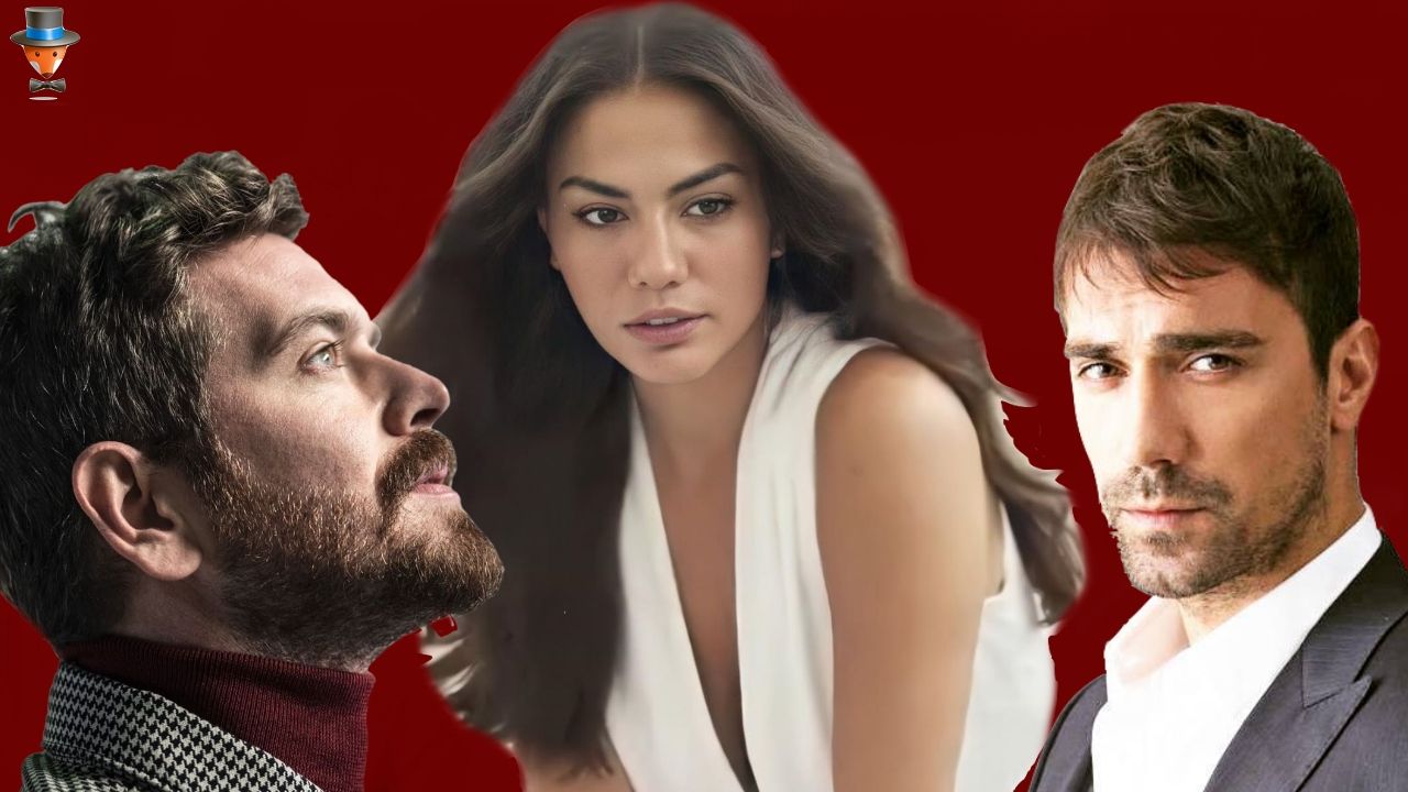 TV series My home My destiny makes the finale … what’s next? Turkish