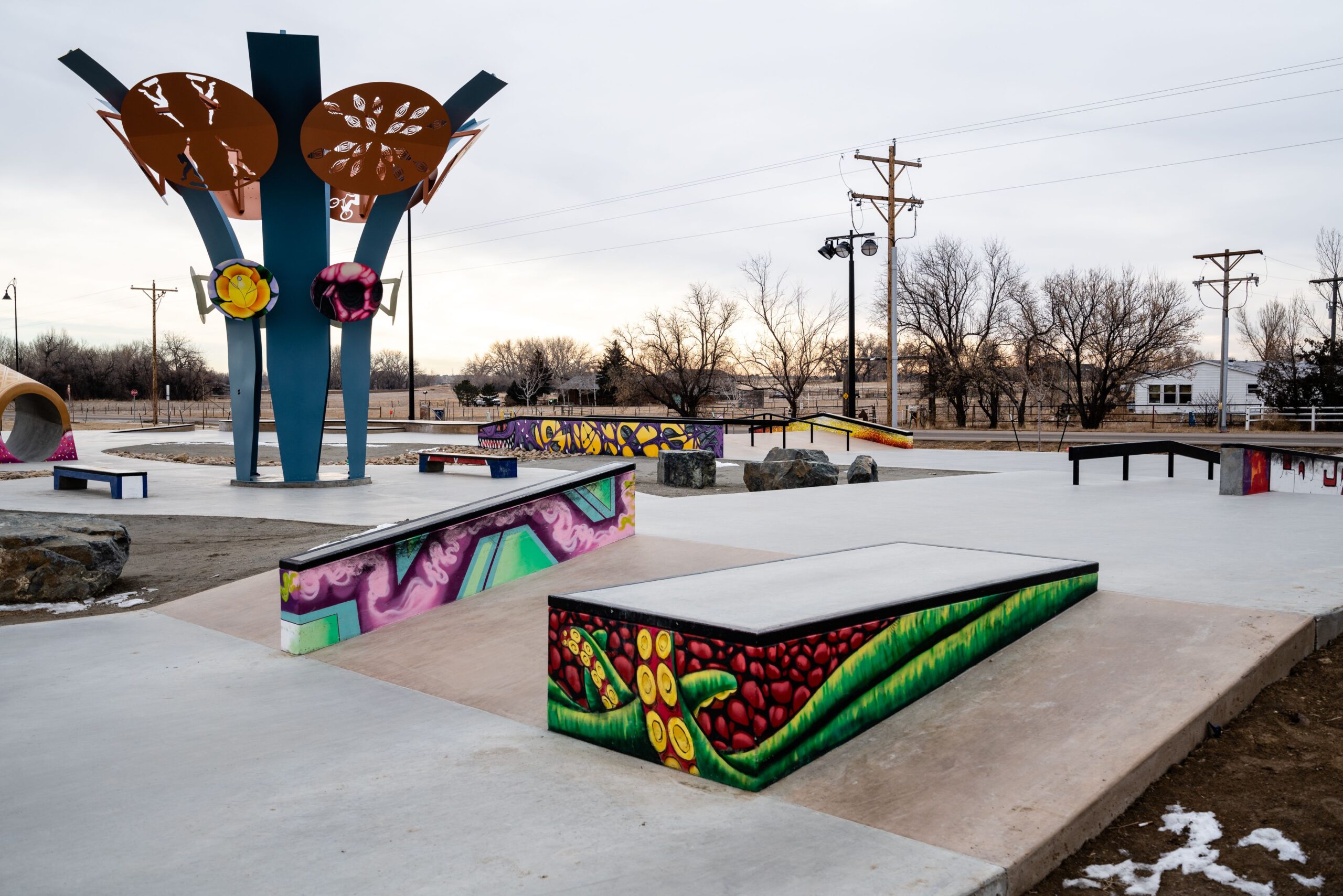 Frederick, CO Team Pain Skate Parks