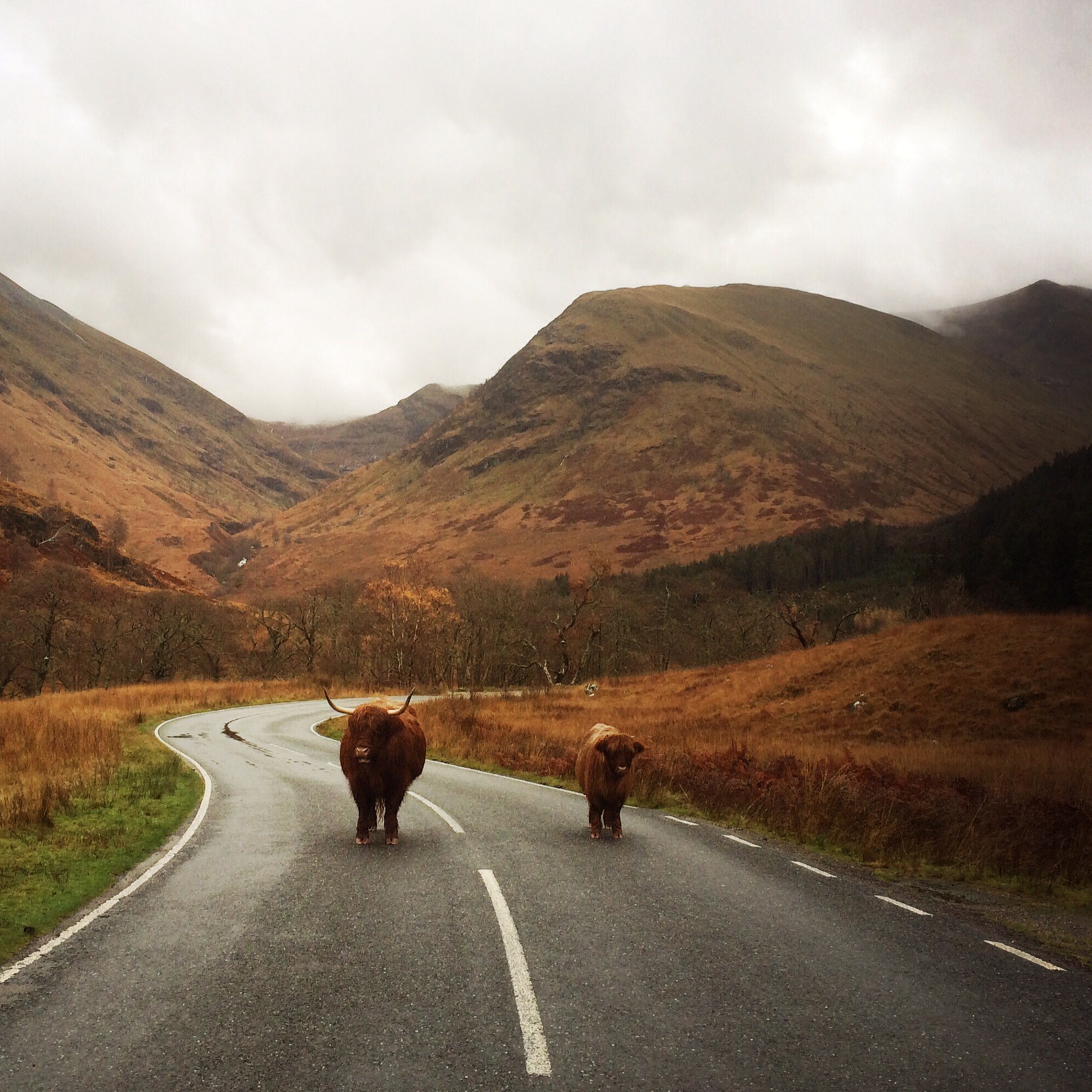 GLEN NEVIS TO AN STEALL BAN Carol & Dave