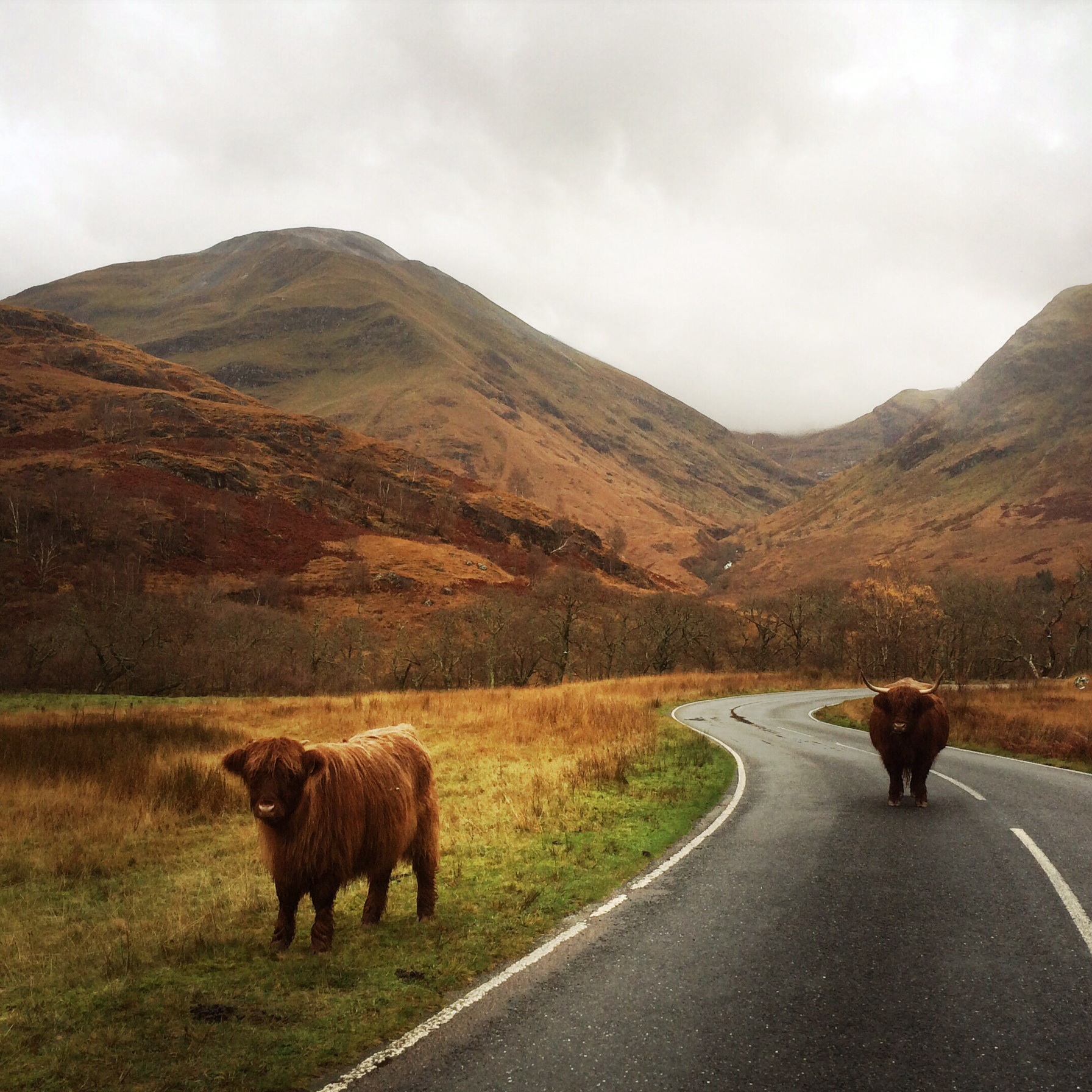 GLEN NEVIS TO AN STEALL BAN Carol & Dave