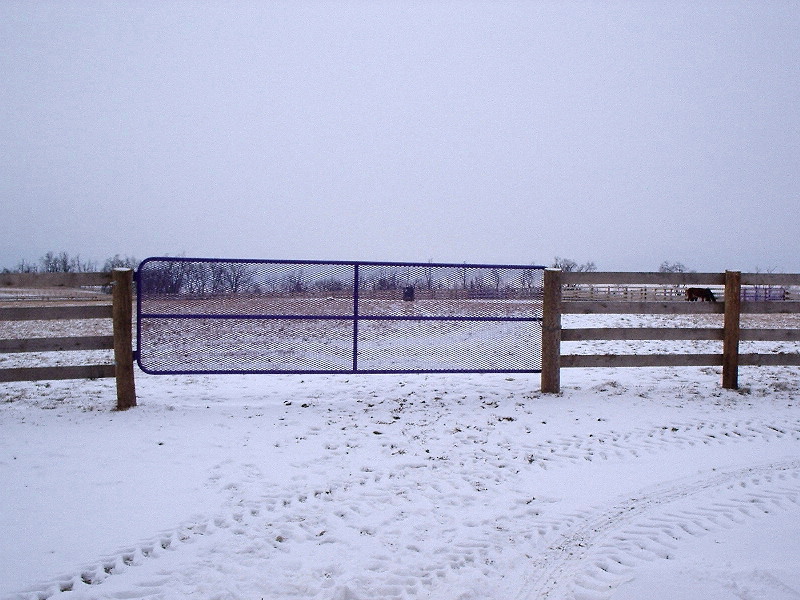 Paddock Gates, Entrance Gates, Stalls, Horses, Hinged Gates, Swing Away Gates, Team Precision