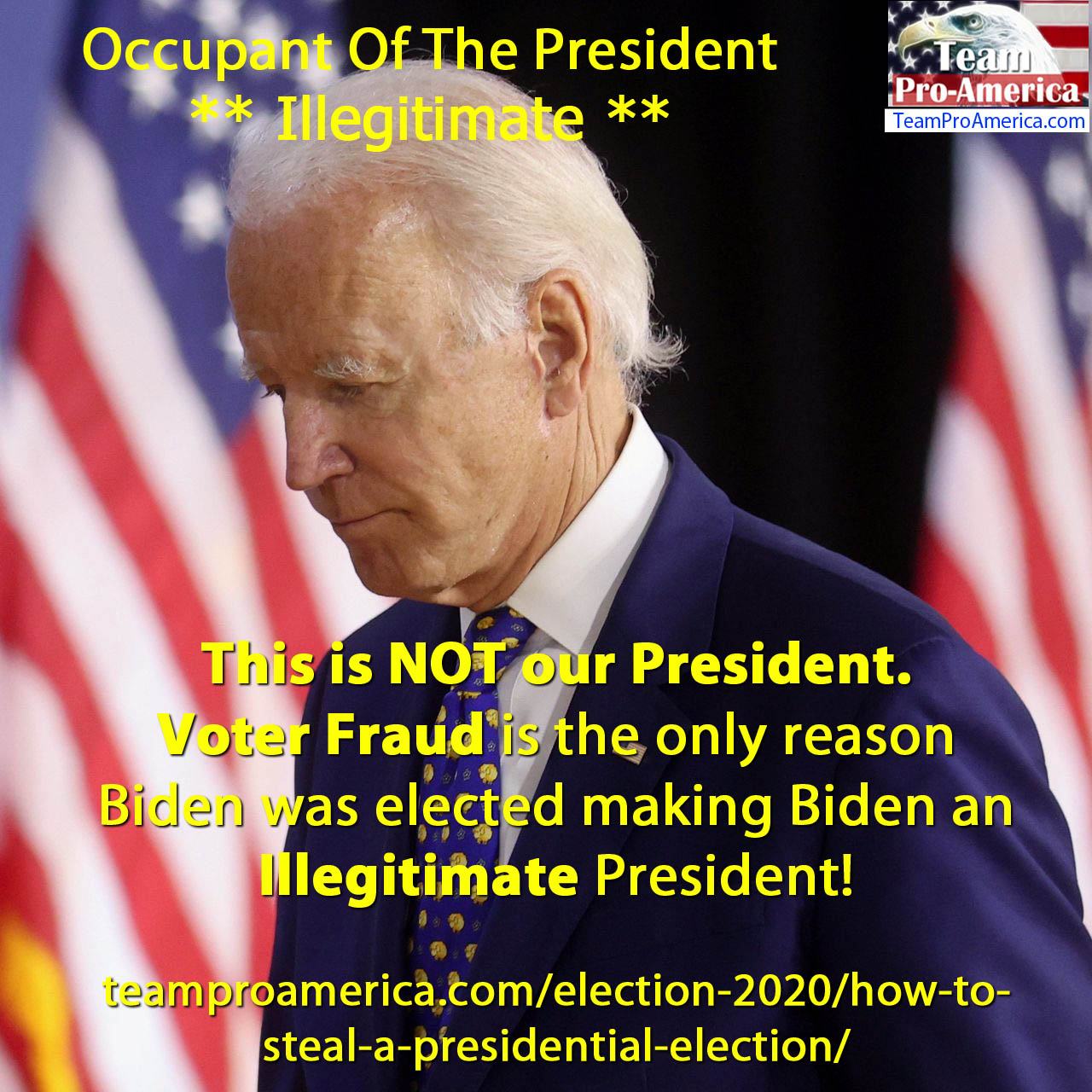 Biden Is NOT Our President Meme Team ProAmerica