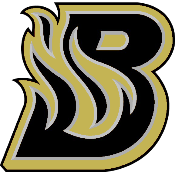 11U Bakersfield Blaze TeamRaise Fundraising