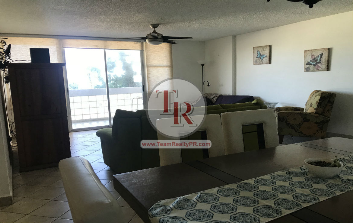 Plaza del Mar Team Realty