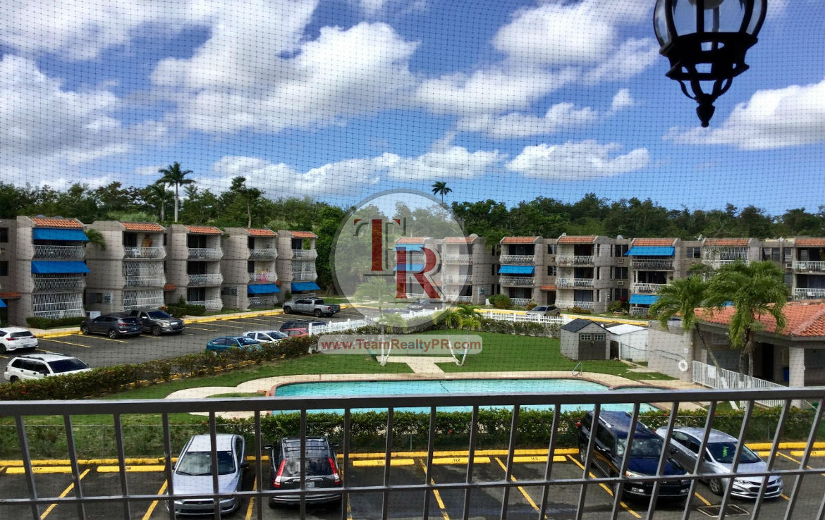 Rexville Park Team Realty