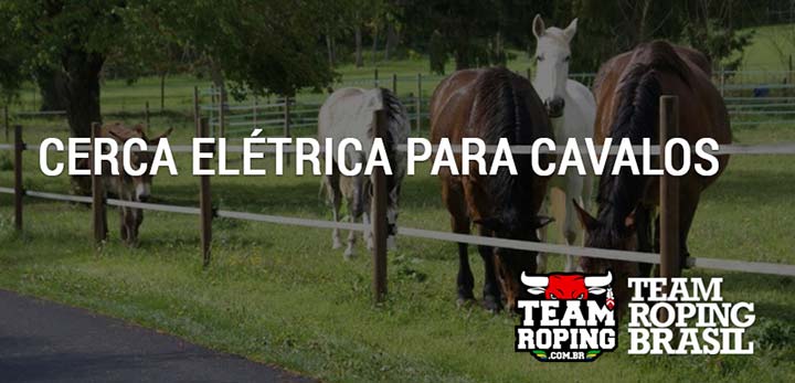 Cerca elétrica para cavalos Team Roping Brasil