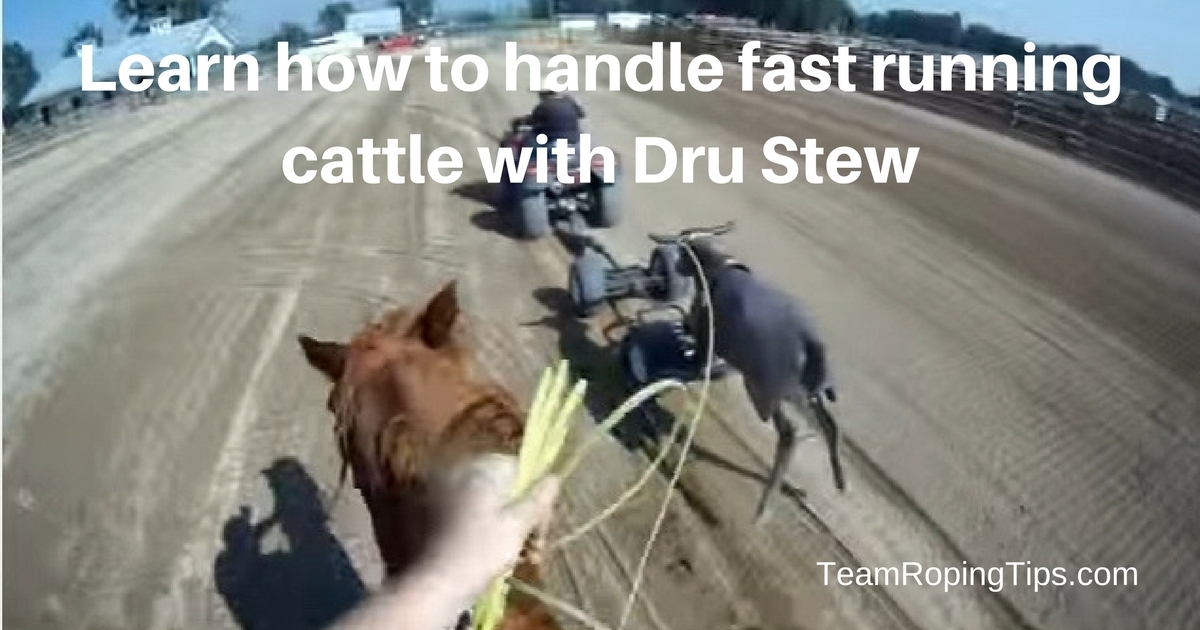 Tips On Roping Fast Cattle ⋆ Team Roping Tips
