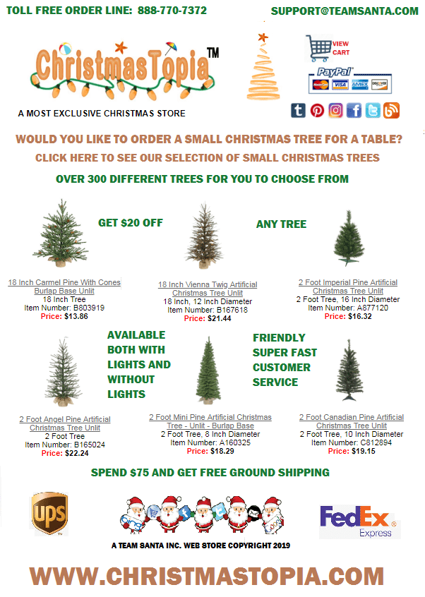 Small Christmas Trees Continue To Be The Most Popular Among Our Overall