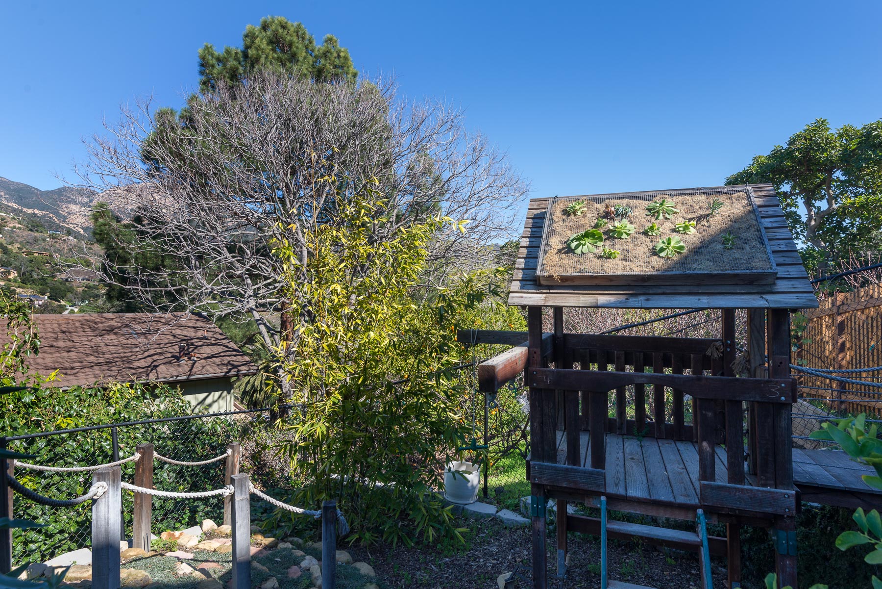 2846 Ben Lomond Drive Mountain View Contemporary Designed by Donald