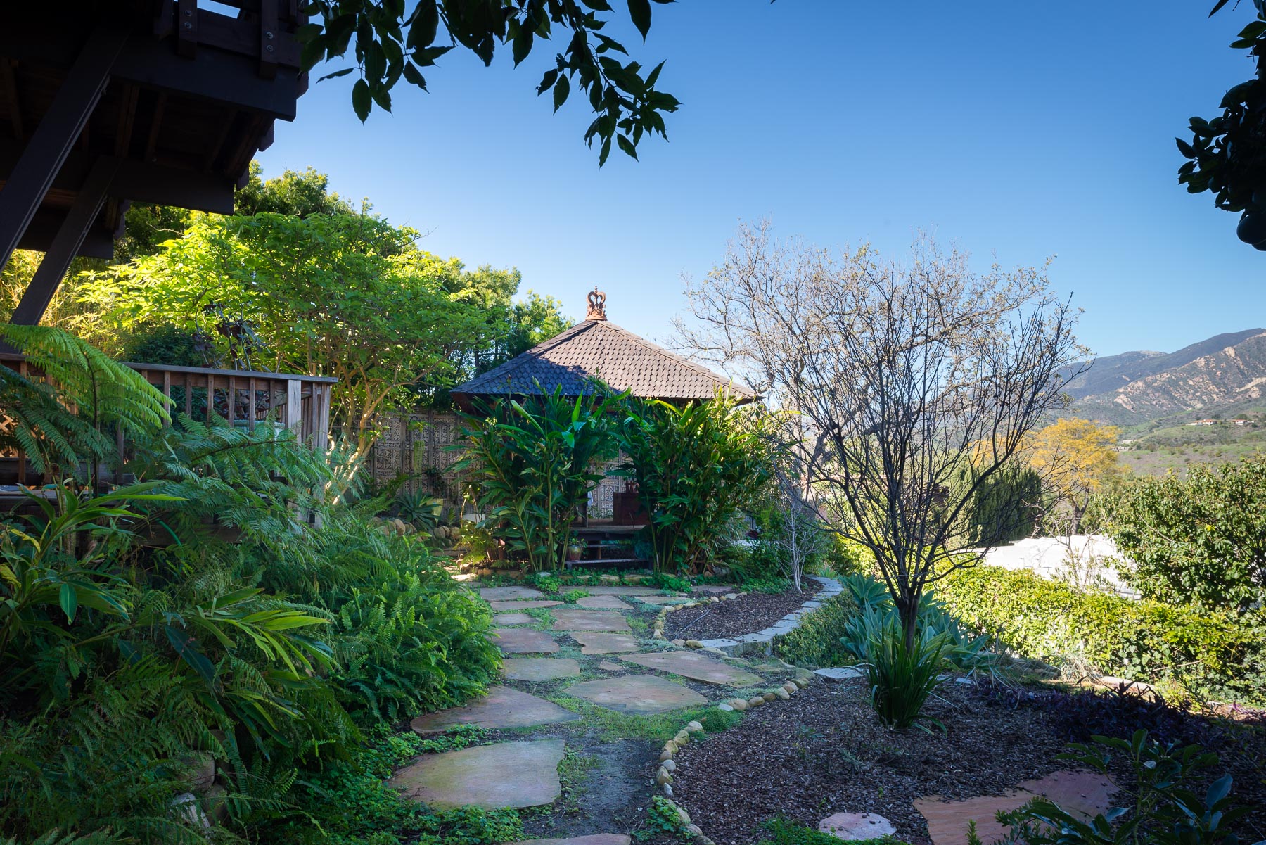 2846 Ben Lomond Drive Mountain View Contemporary Designed by Donald