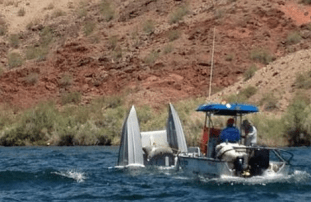 DCB M35 Boat Crash Highlights Cool Team Speed Forum Finds