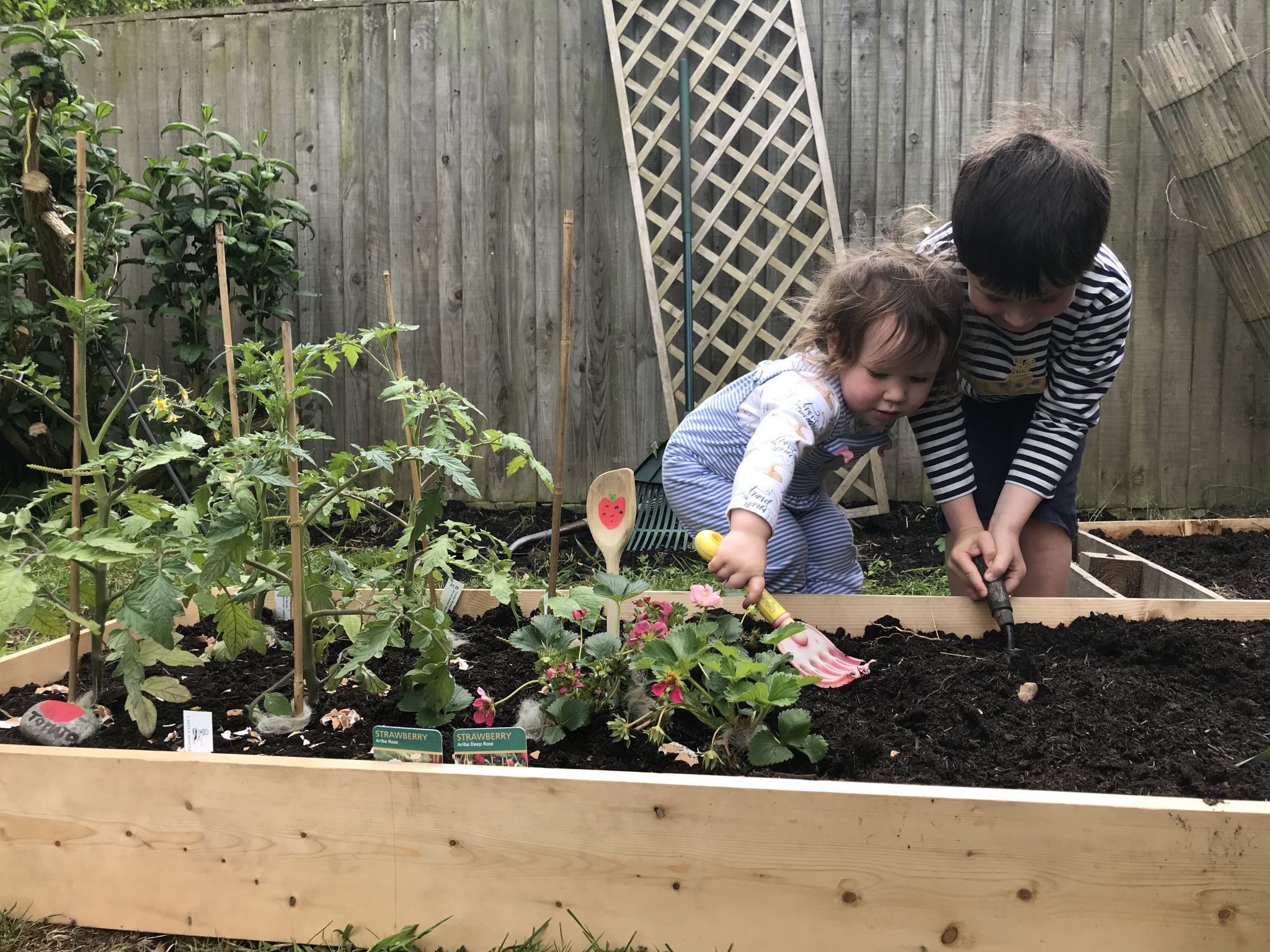Gardening Activities for kids Team Stein