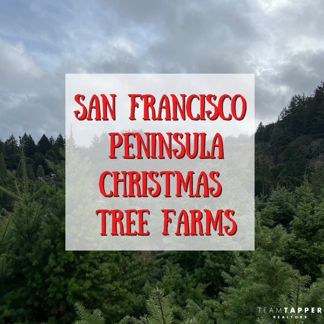 San Francisco Peninsula Christmas Tree Farms Team Tapper