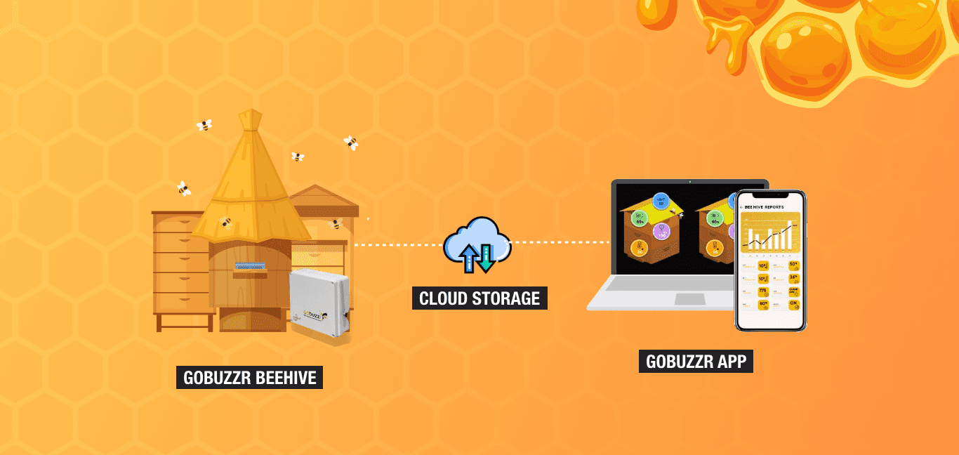 Beehive Monitoring System Monitor your bees with Gobuzzr System