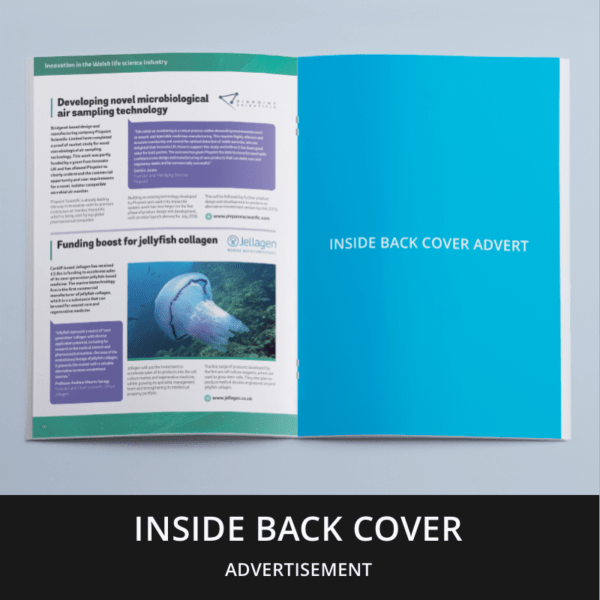 LifeStories Magazine Inside Back Cover Teamworks