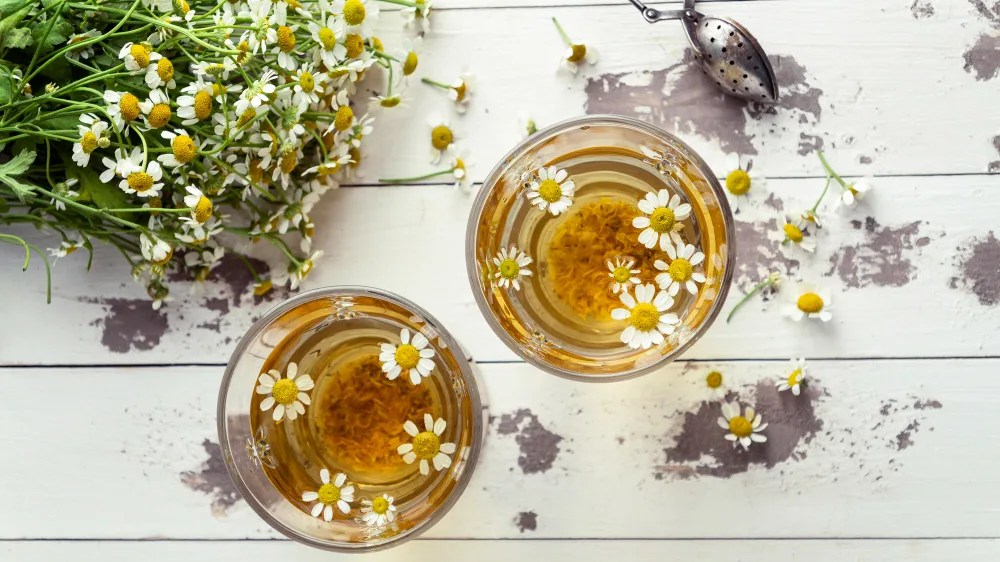 Best Chamomile Tea Brands (Updated November 2023) // TP