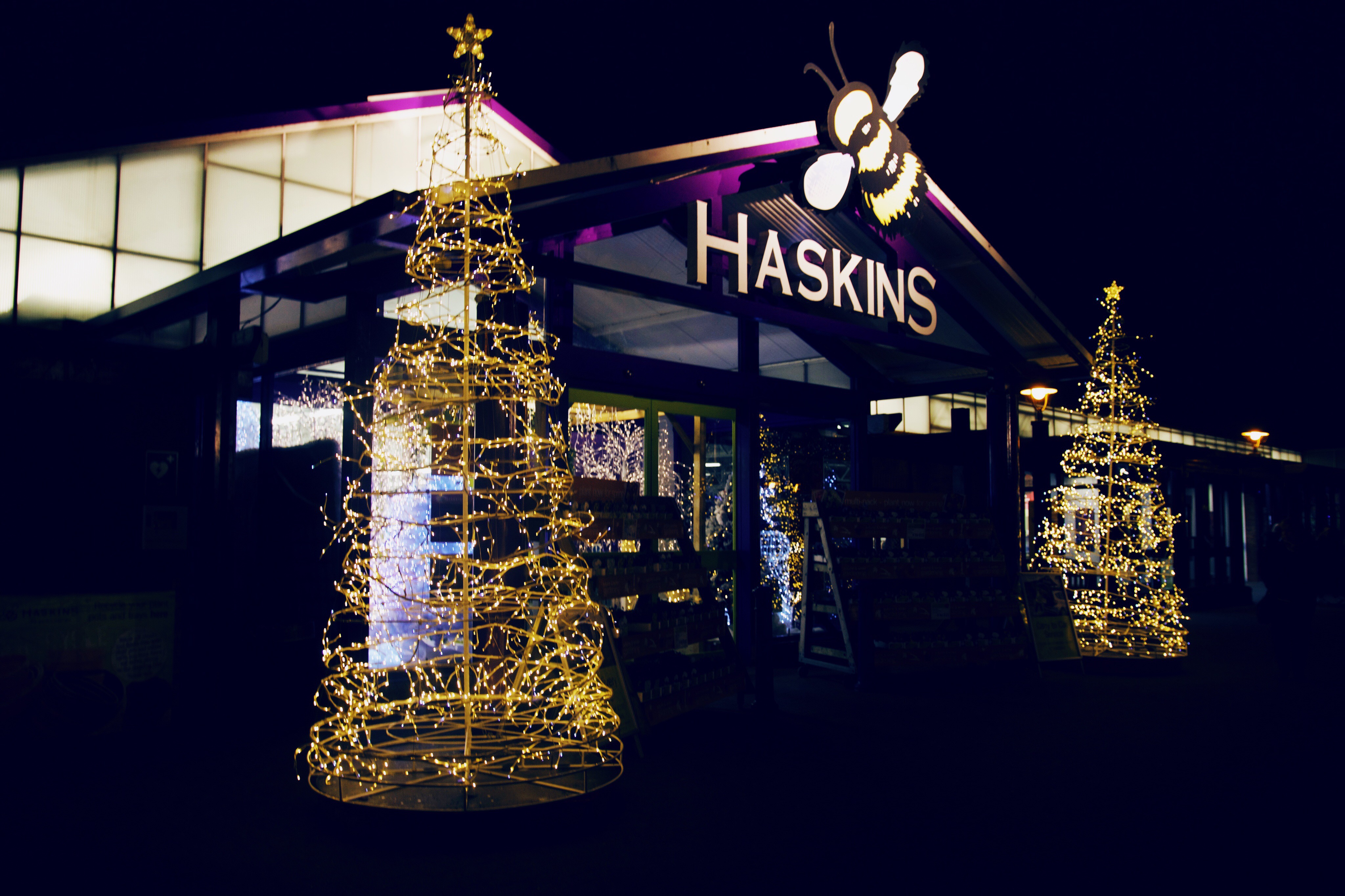 Afternoon Tea at Haskins Tea Time With Ciara