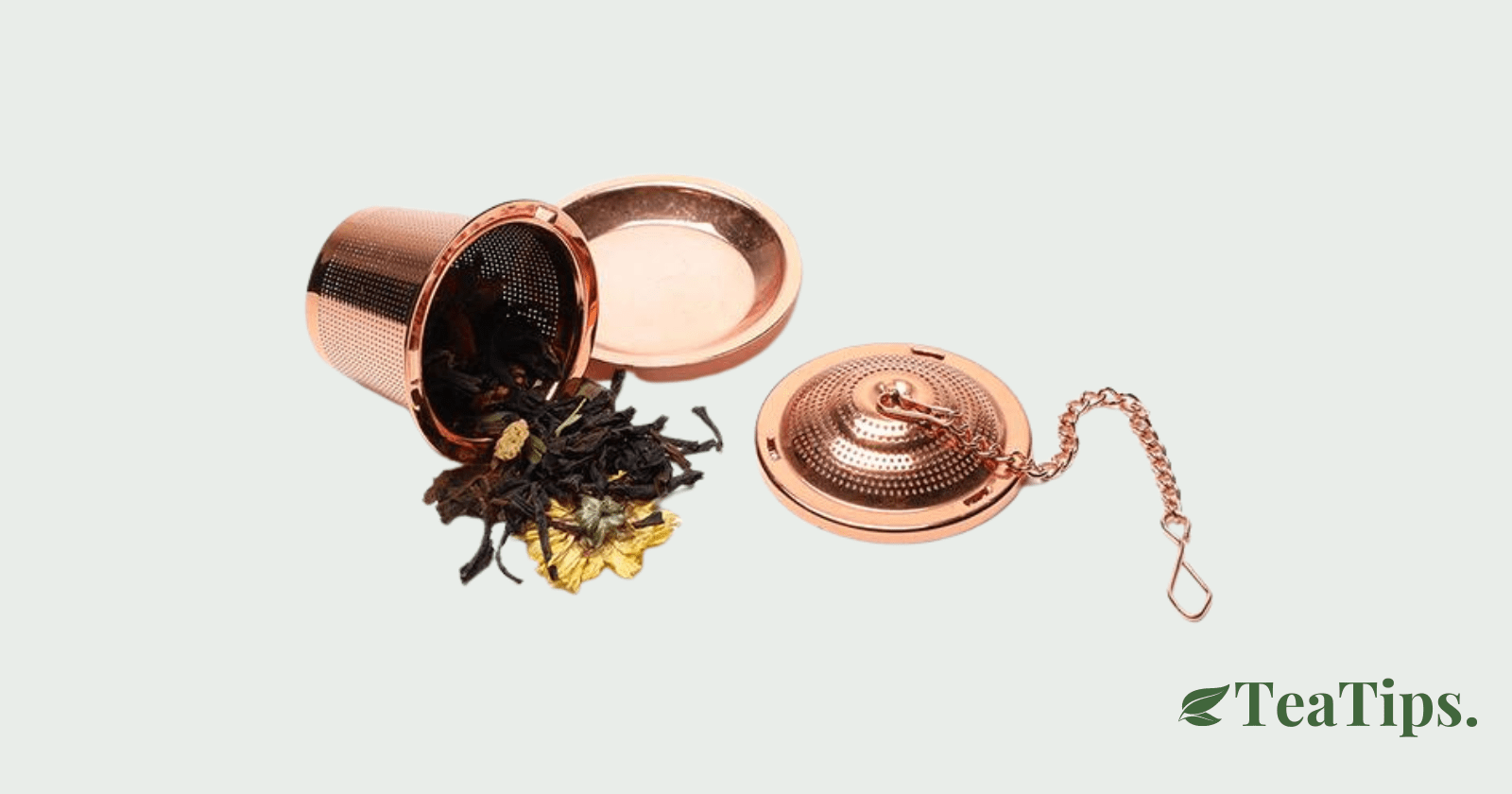 10 of the Best Tea Infusers Australian Guide TeaTips