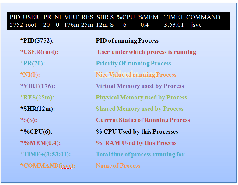 Top Command Output Explained An Introduction for Beginners