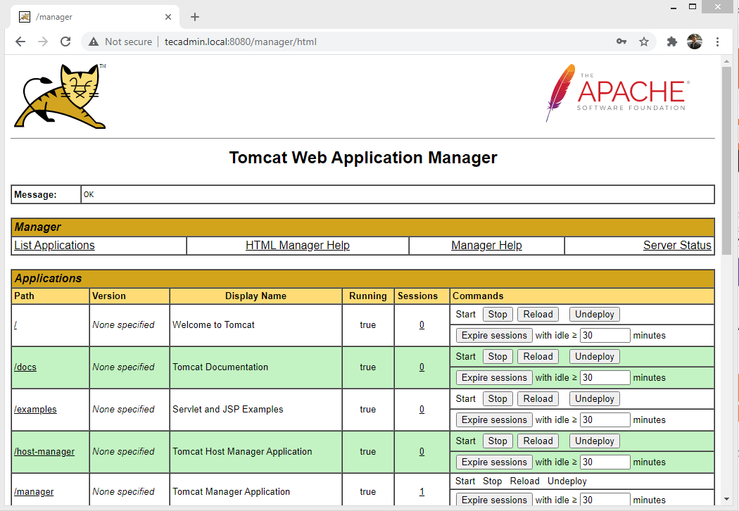 How to Install Tomcat 10 on Debian TecAdmin