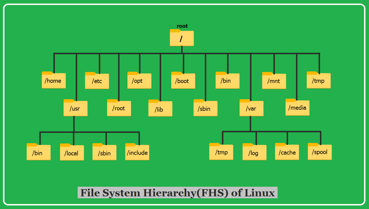 Understanding the Linux File System A Comprehensive Guide TecAdmin(03)
