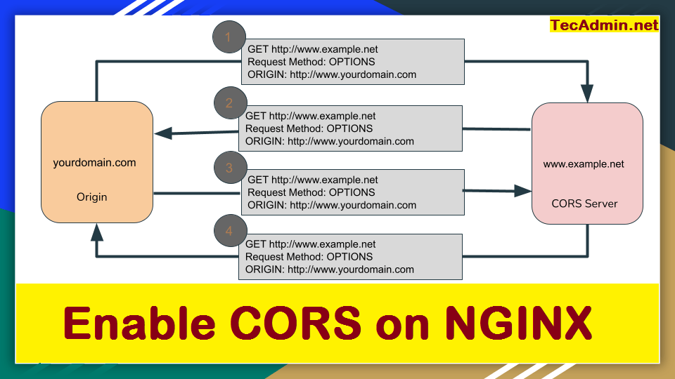 How to Enable CORS in Nginx TecAdmin