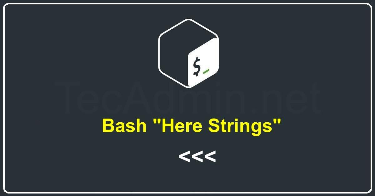 An InDepth Guide to Here Strings