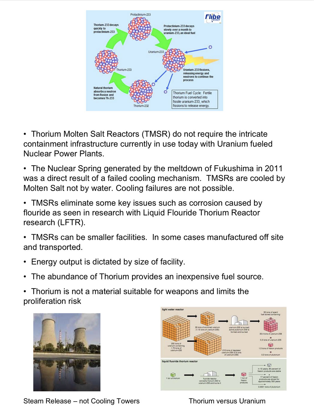 Thorium Reactors Technical Associates