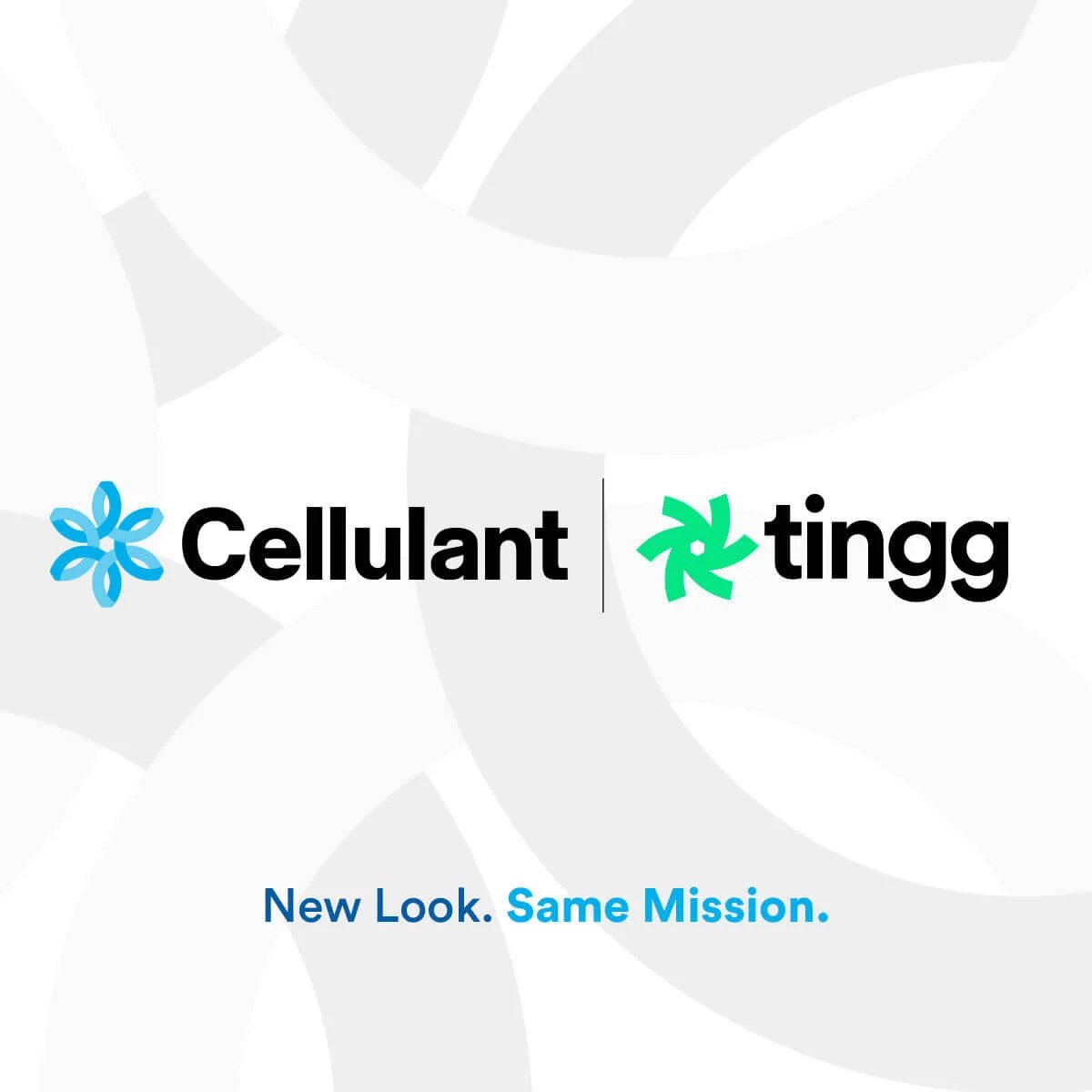 Cellulant gets Bank of Tanzania approval to operate as Payment Service Provider