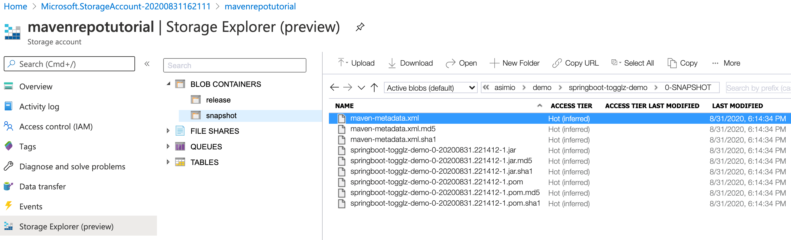 Net Use Azure Blob Storage Dandk Organizer