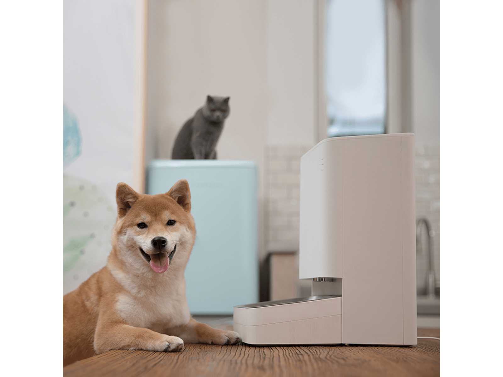 Xiaomi Smart Pet Food Feeder EU tech.co.za