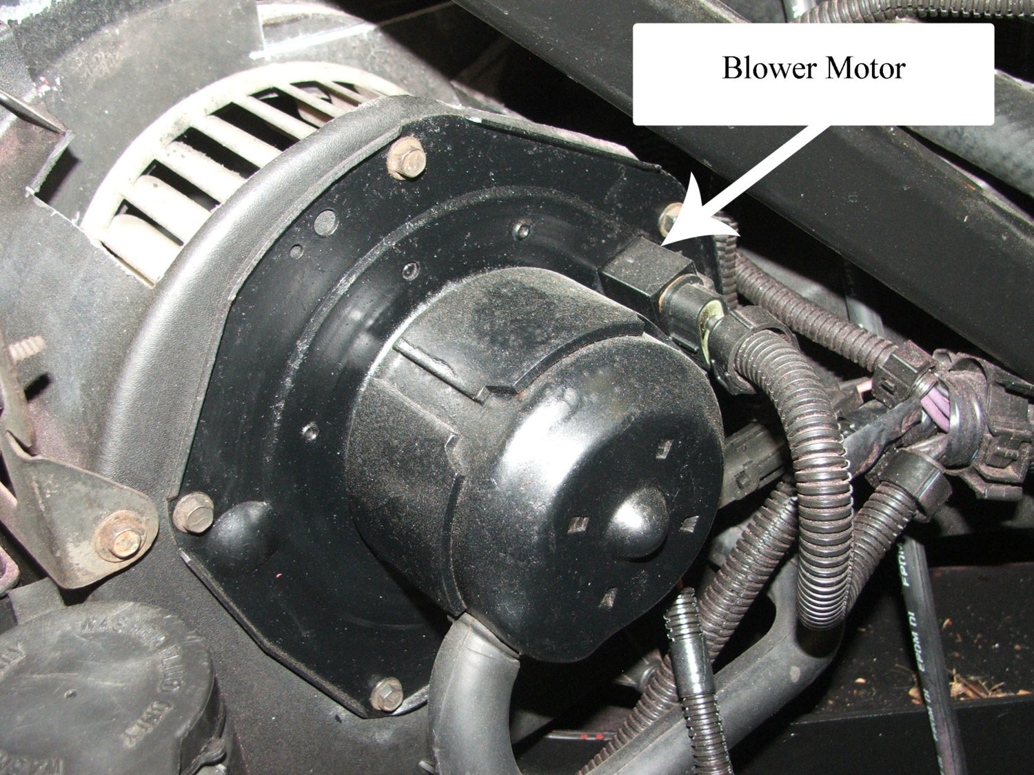 Blower Motor Pics Blower Motor ResistorBlower Motor Resistor