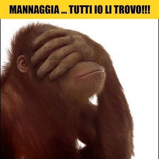 MemeTool La Risorsa per Commenti con Foto Divertenti