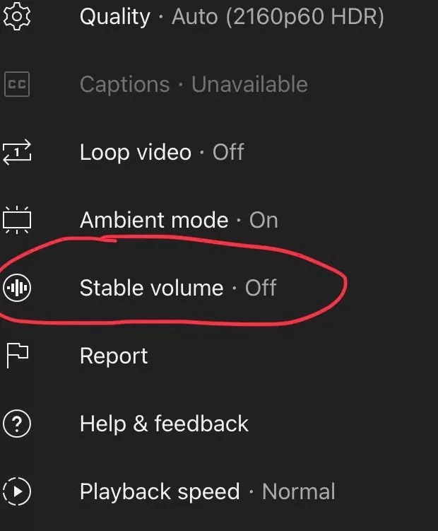 Stable Volume New, convenient feature launches on YouTube NEWS.am