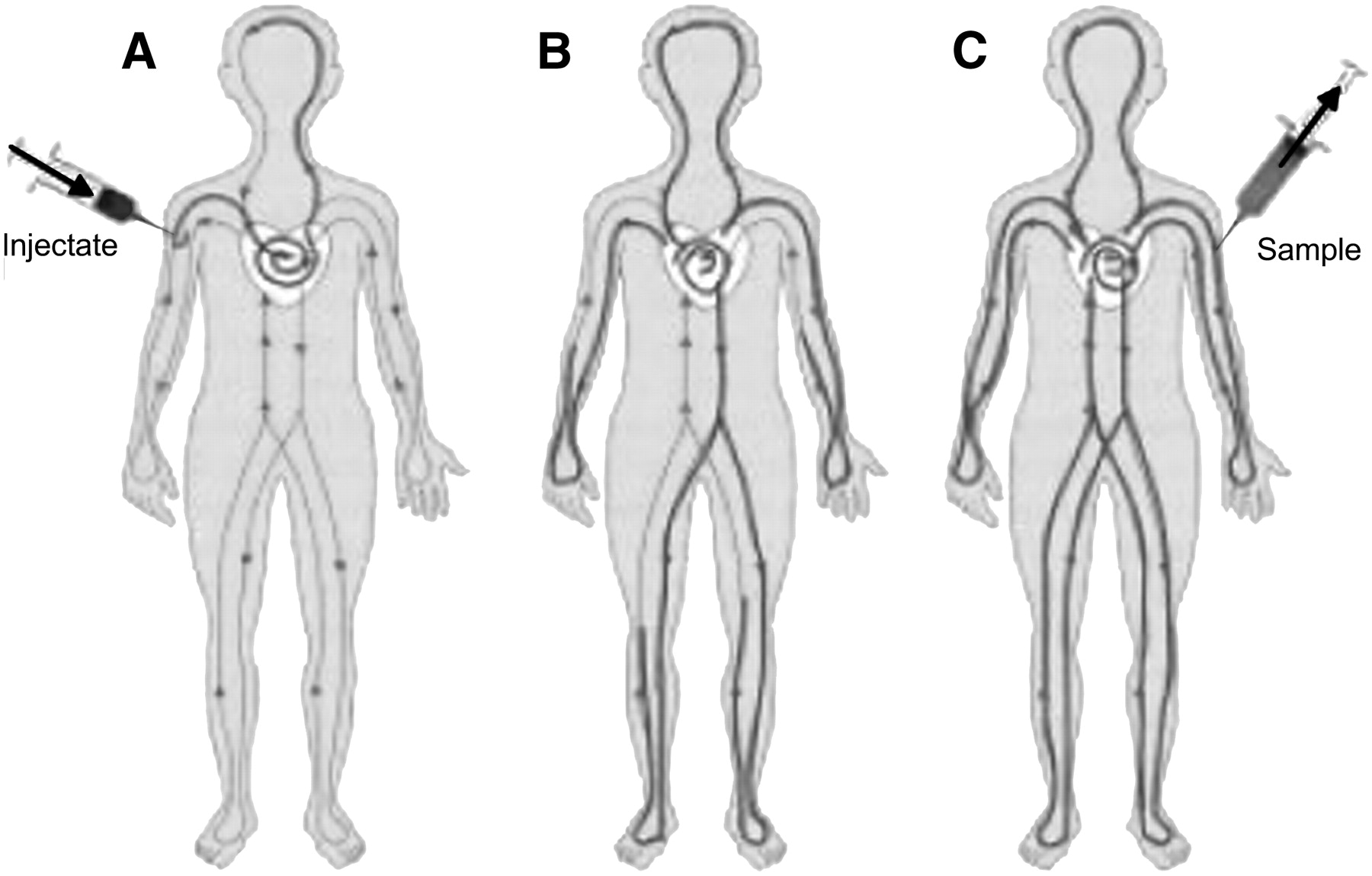 Blood Volume Analysis A New Technique and New Clinical Interest