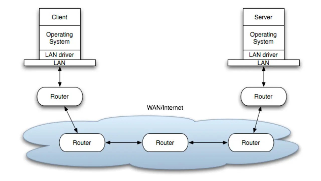Different Types of Network Sockets and Their Usage