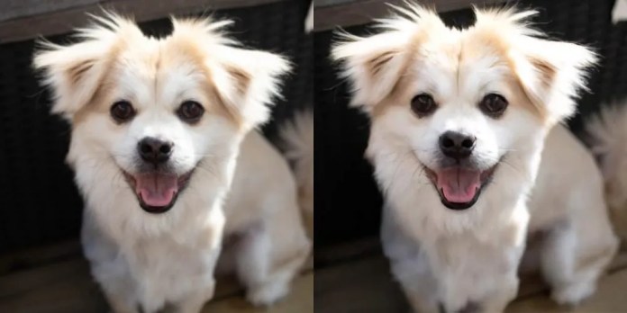 How To Upscale Photos Without Ruining Them With Deep Image Techacute