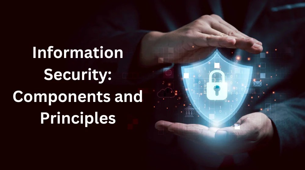 Information Security Components and Principles Tech Behind It