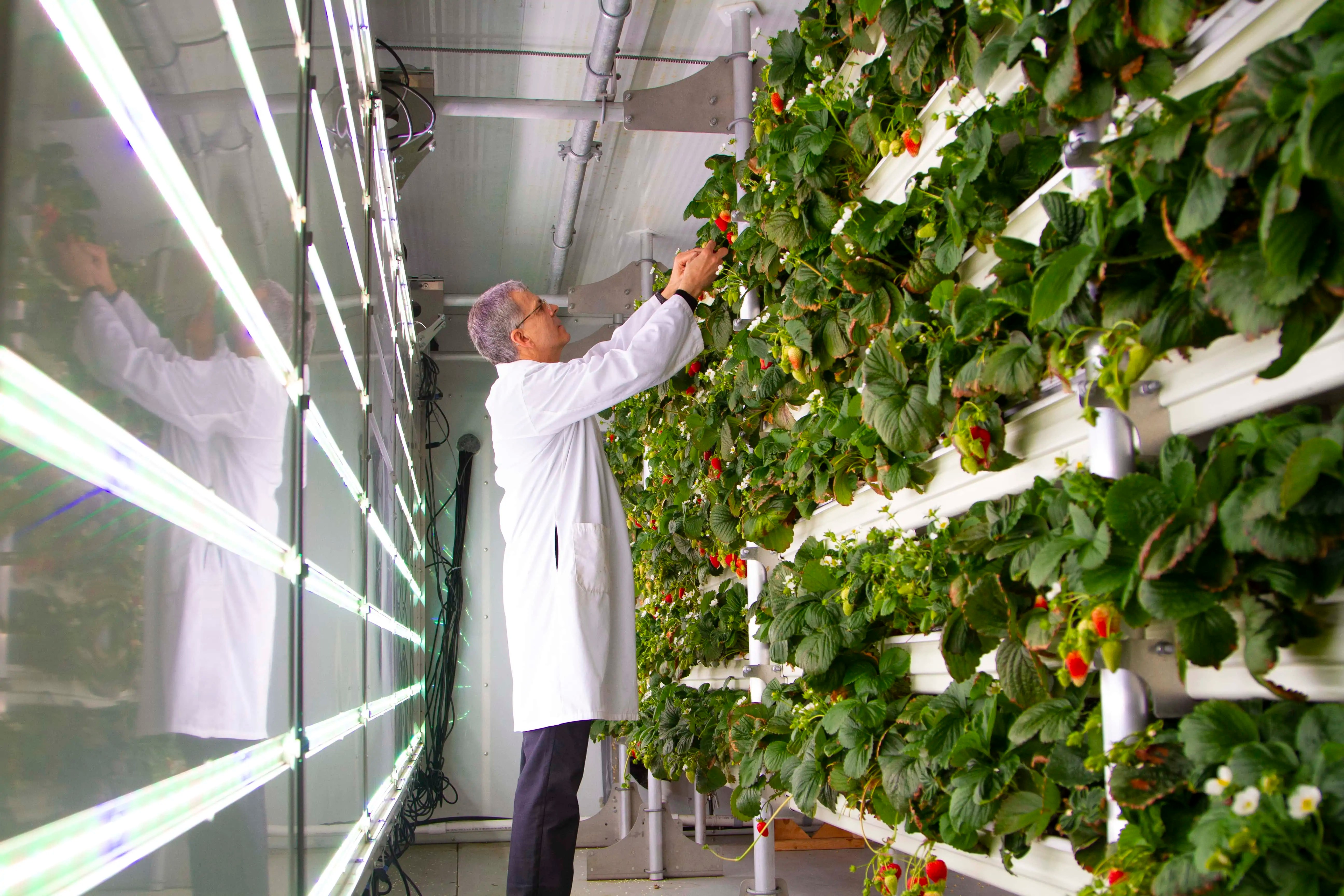 Quebec fights supply chain issues by building Canada's largest vertical