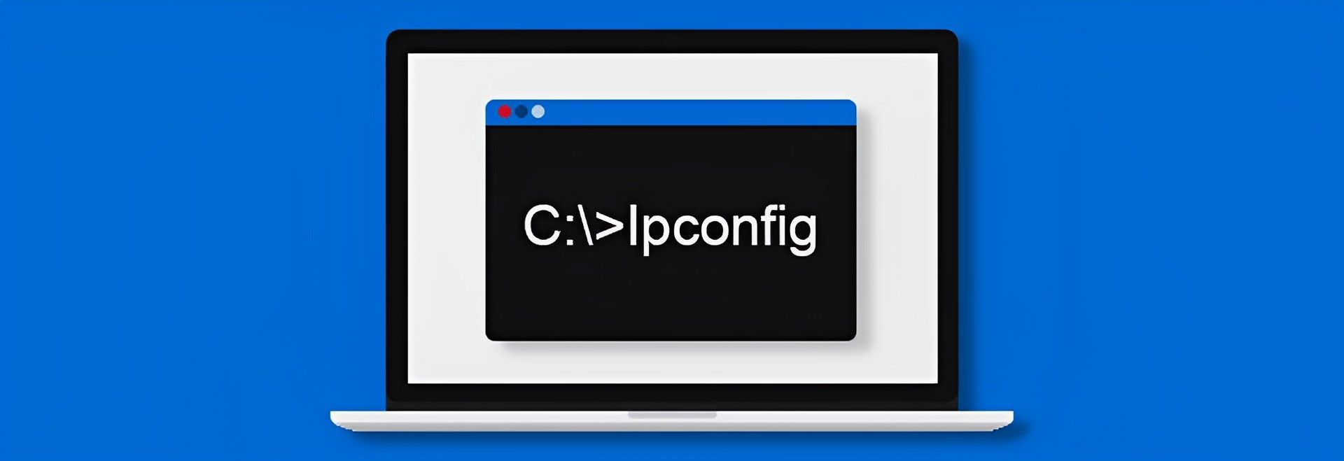 Destiny 2 calabrese error code How to fix it? • TechBriefly