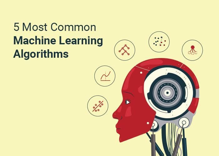 5 Most Common Machine Learning Algorithms TechBullion