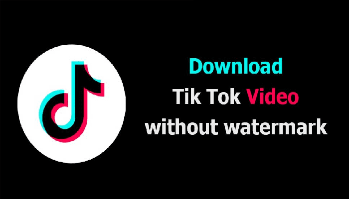 How to Download Tik Tok MP4 Without the Watermark