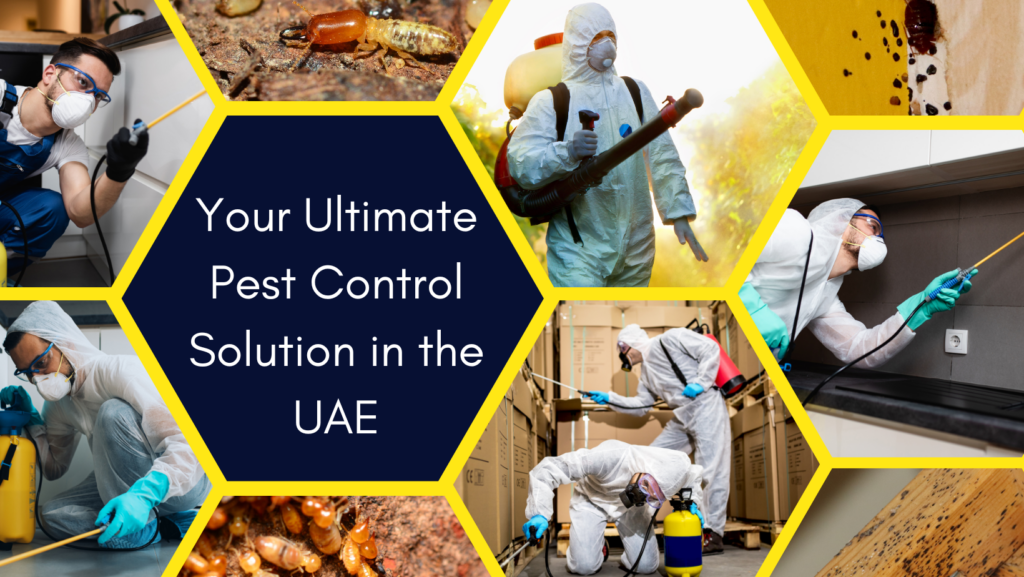 Golden Touch Pest Control L.L.C Your Ultimate Pest Control Solution in