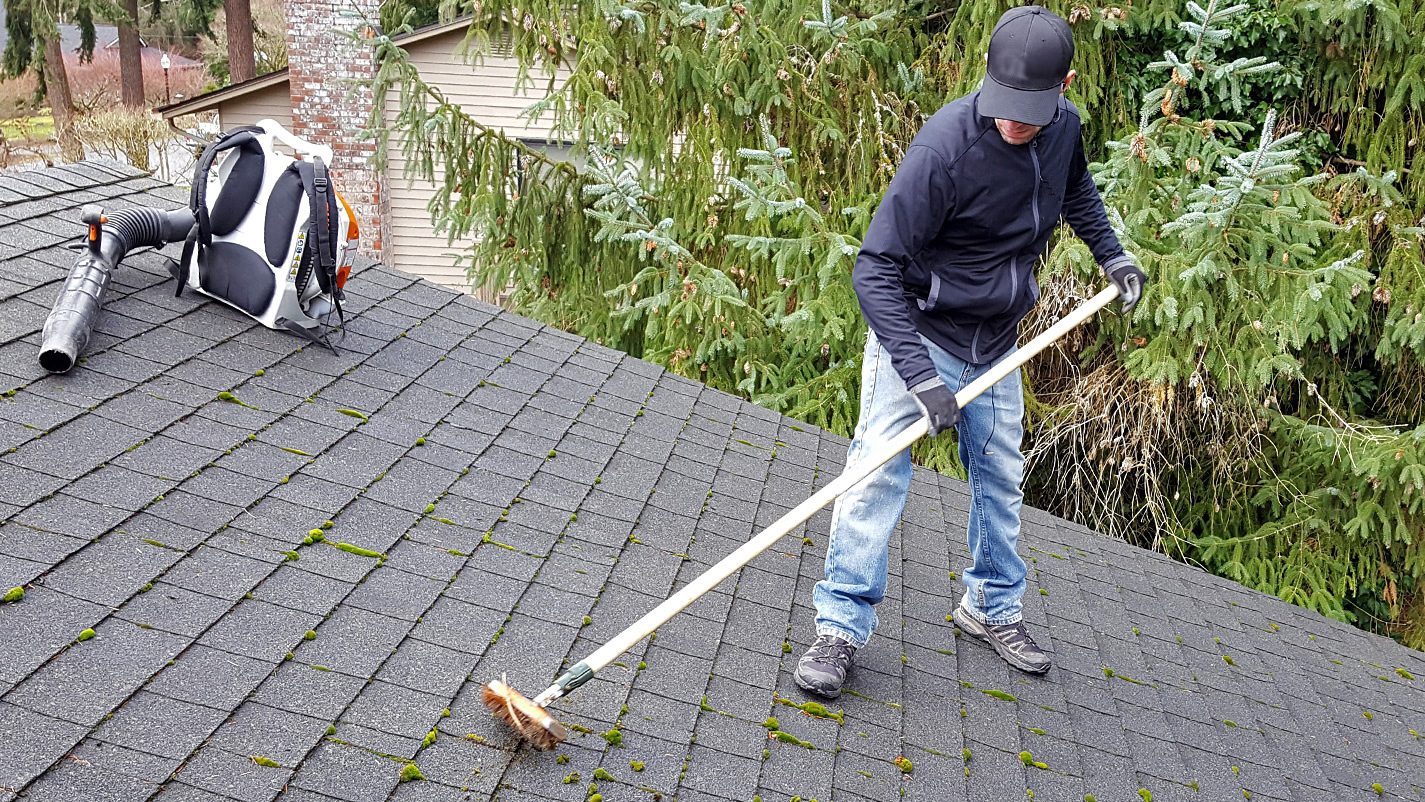 Roof Moss Cleaning 101: Hire an Expert For a Moss-Free Roof - TechBullion