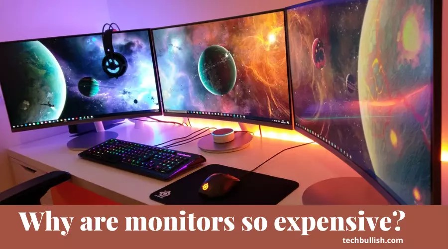 Why are Monitors So Expensive? (Find It Out!)