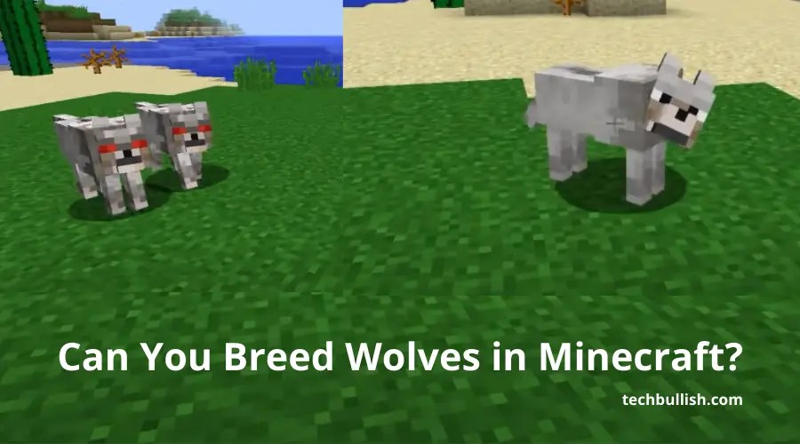 Can You Breed Wolves in Minecraft?( ͡° ͜ʖ ͡°)
