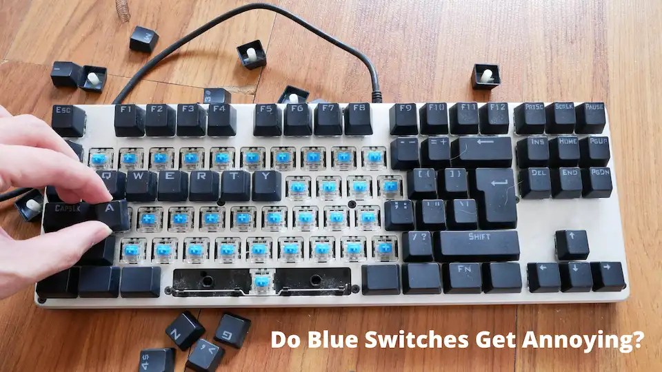 Do Blue Switches Get Annoying? (ANSWERED!)